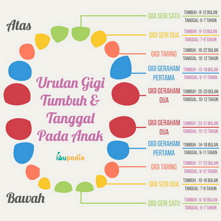 Infografis: Perubahan Payudara Saat Hamil